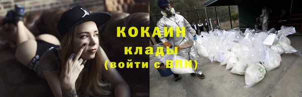 стаф Горнозаводск
