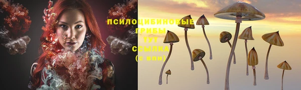 соль ск Горно-Алтайск
