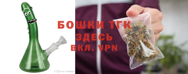 гидропоника Горняк