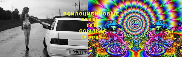 стаф Горнозаводск