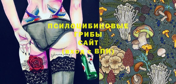 соль ск Горно-Алтайск
