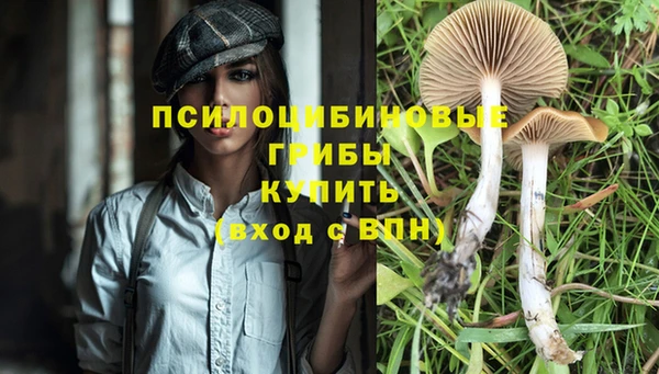 соль ск Горно-Алтайск