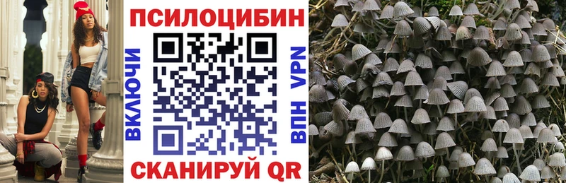 Галлюциногенные грибы MAGIC MUSHROOMS  продажа наркотиков  Тосно 