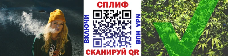 купить  сайты  Тосно  Бошки марихуана OG Kush 